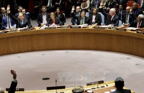 UN concerned about situation in eastern Ukraine - ảnh 1